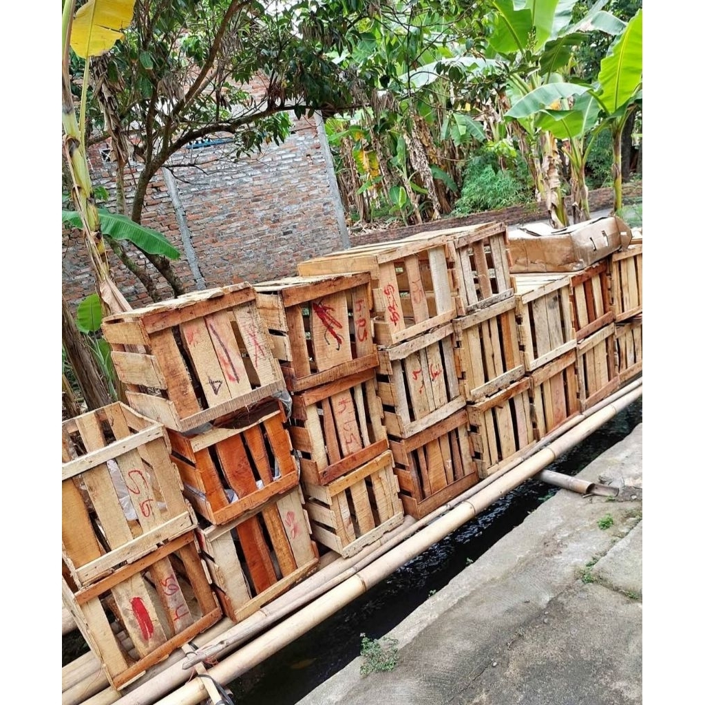 Palet kayu/Palet buah/Peti kayu