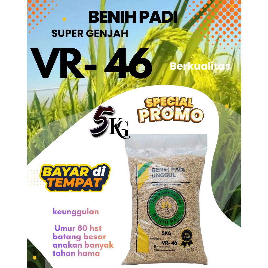 BENIH PADI VR46 ORIGINAL (VELOZE RICE46) 5KG