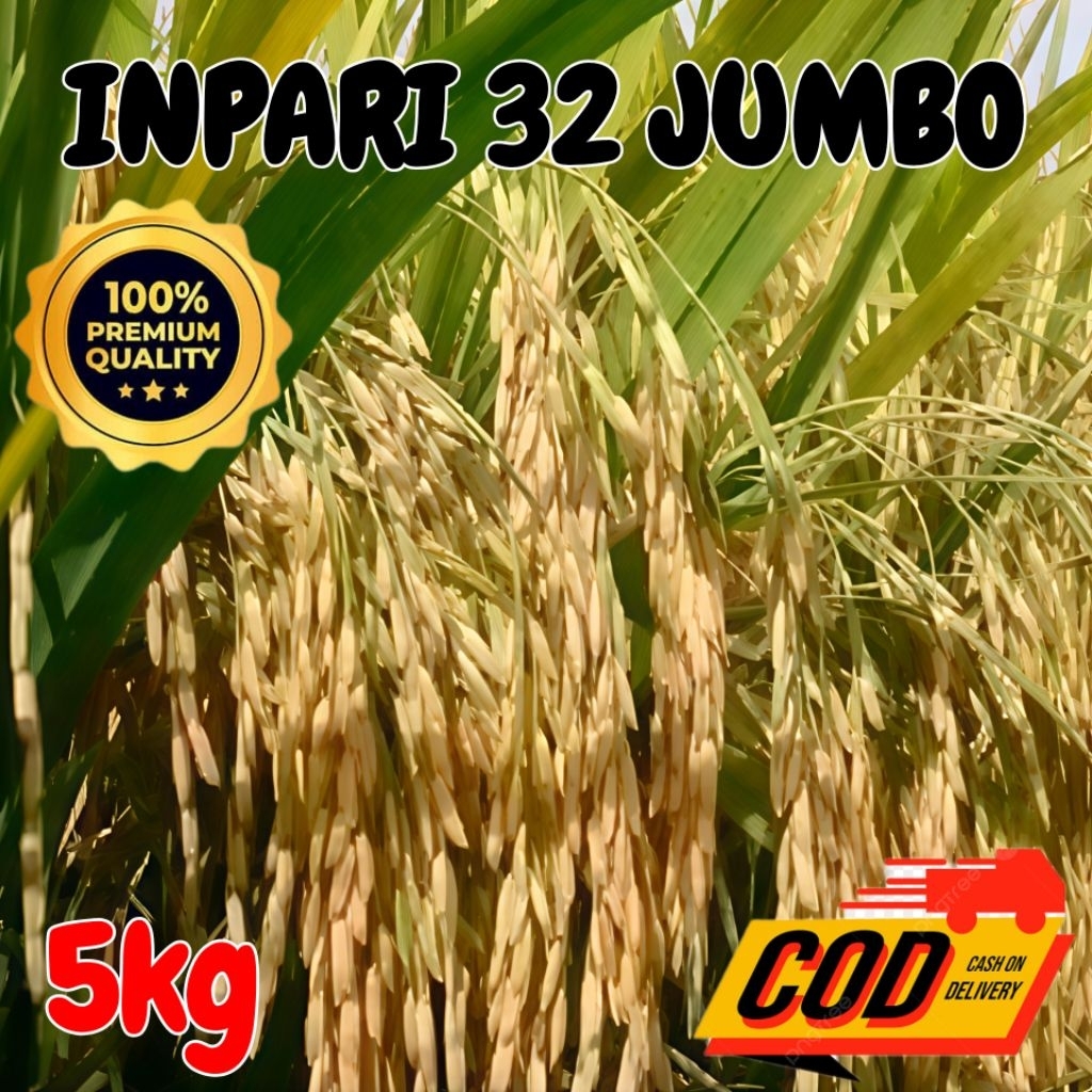 Bibit benih padi Inpari 32 Jumbo unggul berkualitas 5kg