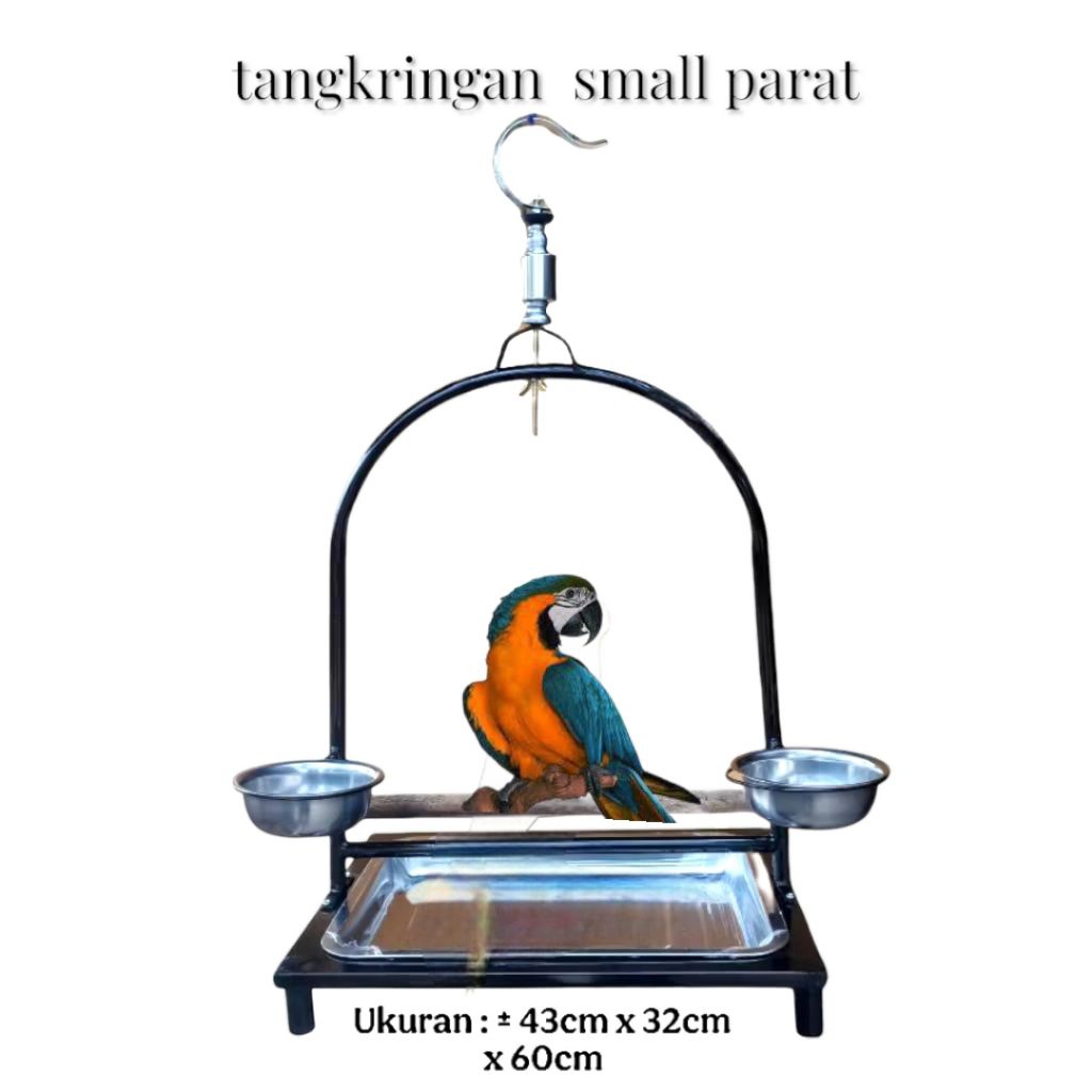 tangkringan small Parrot bertengger burung/ tangkringan kakak tua
