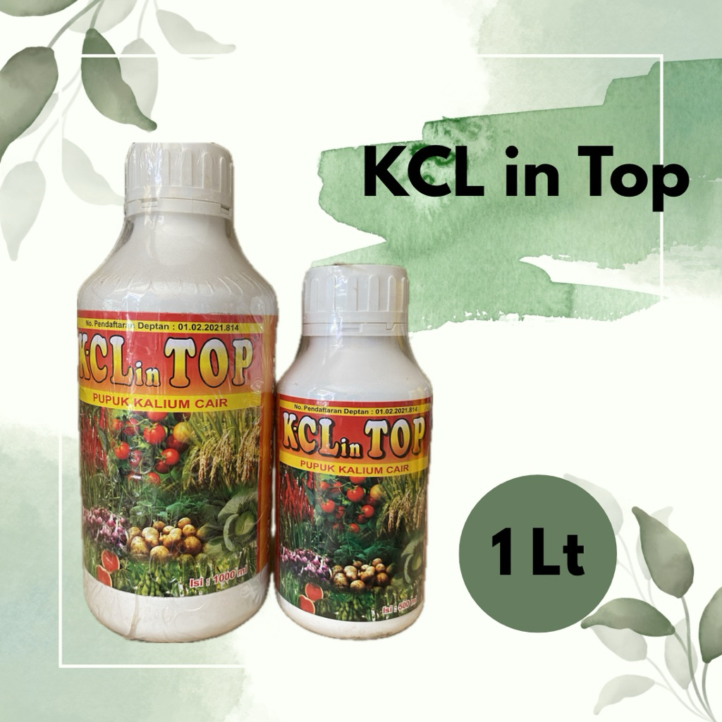 KCL in Top pupuk kcl cair