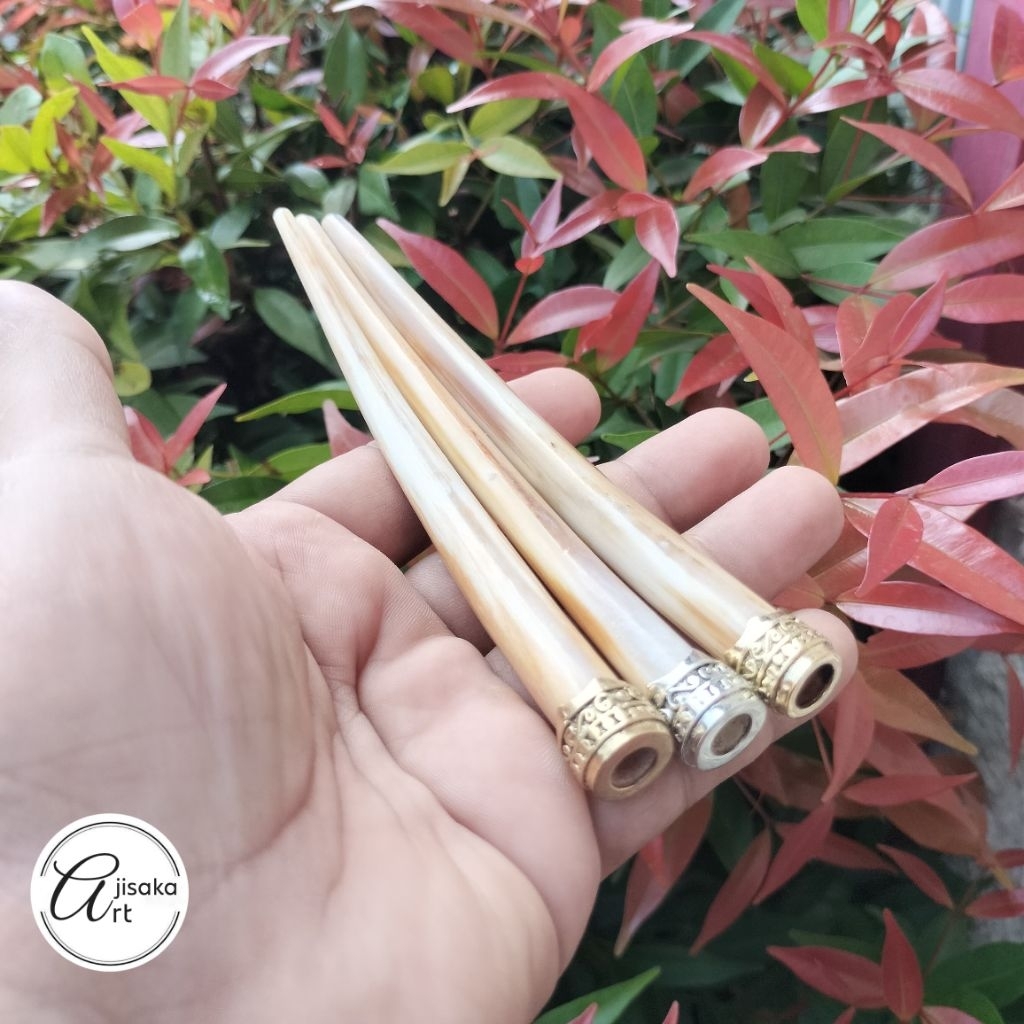 AJISAKA_ART | pipa once / once cangklong tulang rusuk marlin