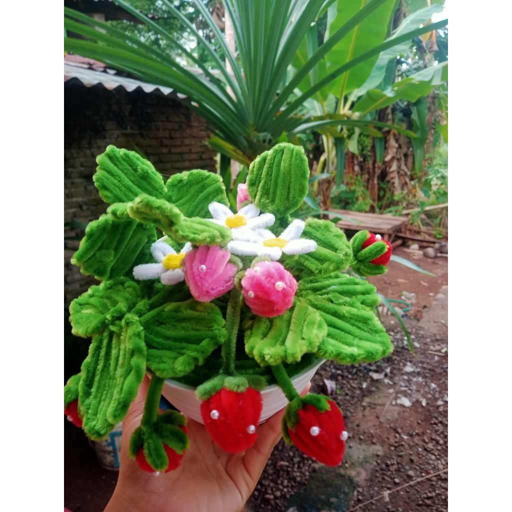 pot bunga buah strawberry