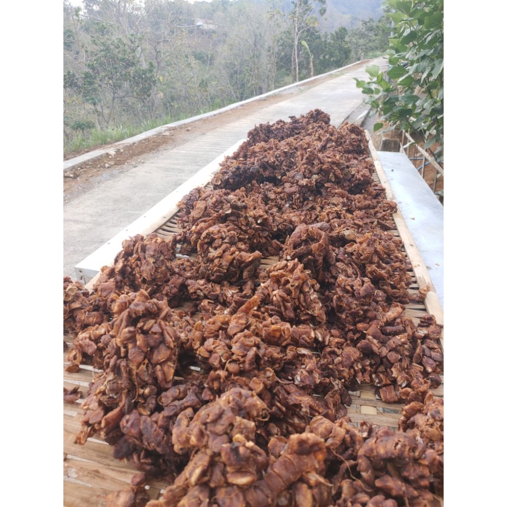 Asam Jawa tanpa biji fresh daging segar 1kg