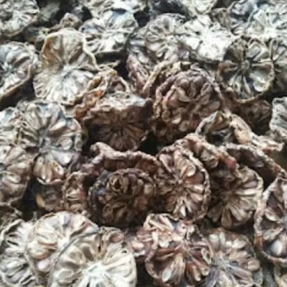 ( 1 kg ) Mengkudu / Mengkudu Kering / Buah Mengkudu Kering