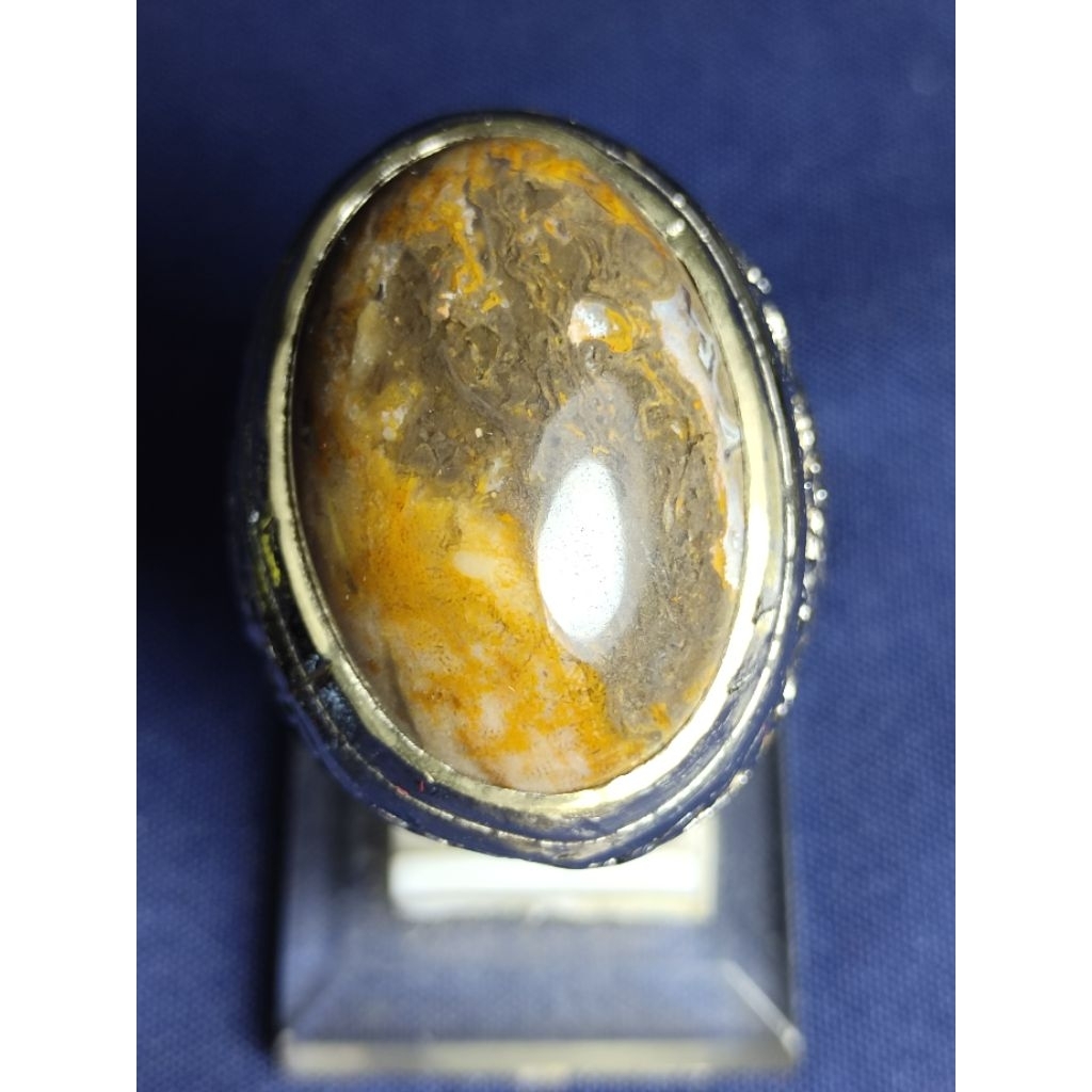 Natural Kelor Petrified Wood / Batu Fosil Kayu Kelor, GARGOYLE