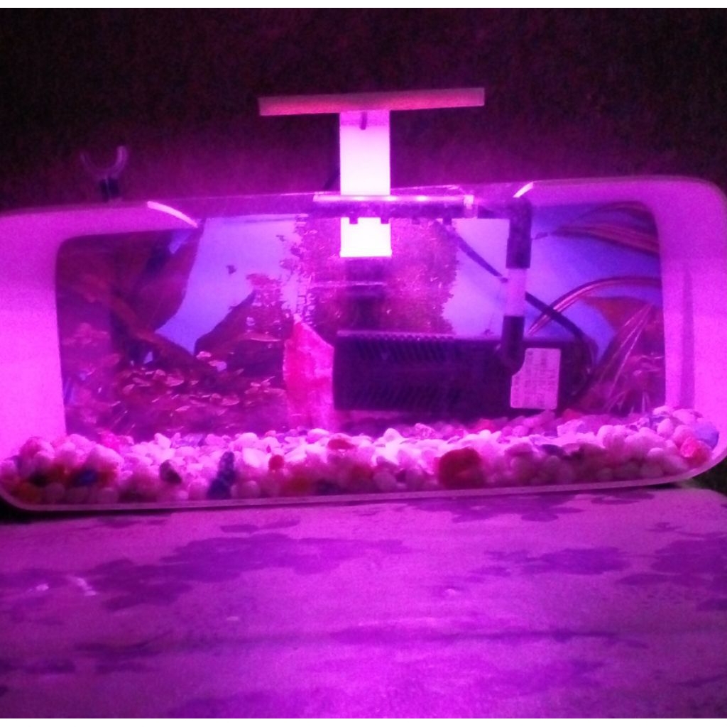 lampu led aquarium mini 5v banyak pilihan warna dan ukuran jumlah mata buat aquarium , aquasvape.