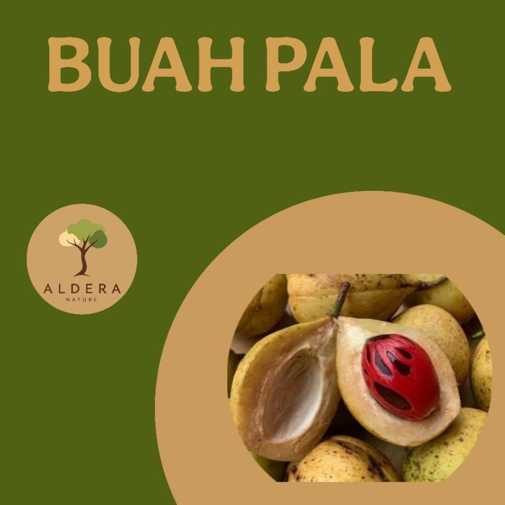Buah pala (1kg) Banyak manfaatnya
