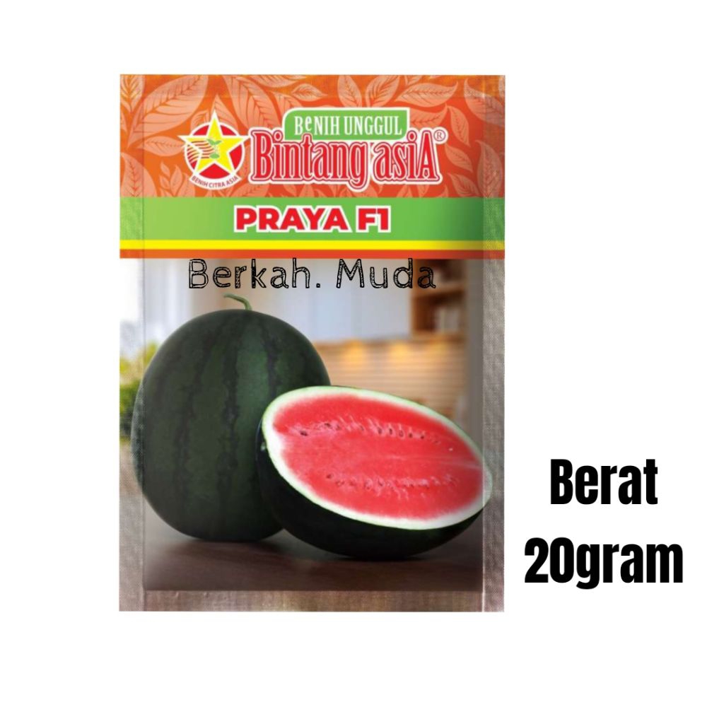 Benih Bintang Asia Semangka Berbiji Praya F1 Berat 20 gram