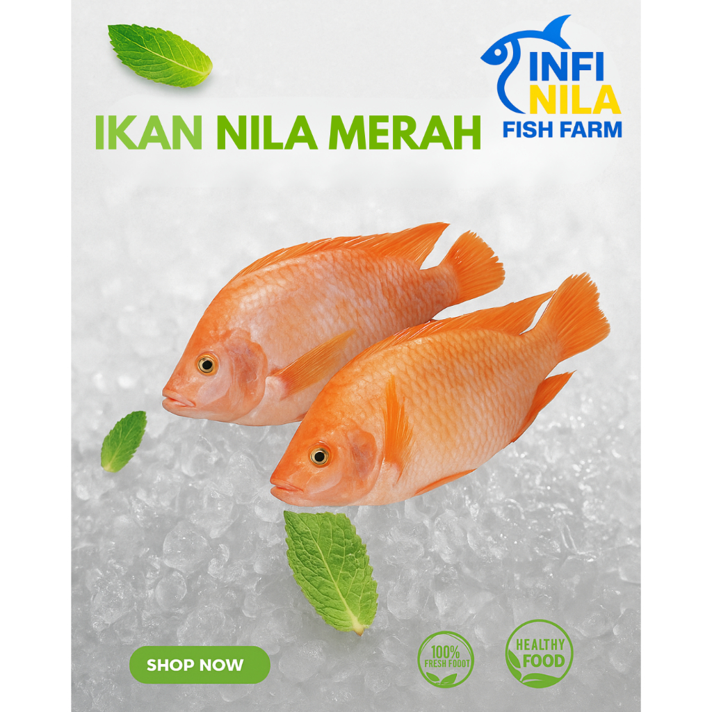 IKAN NILA SEGAR 1 KG