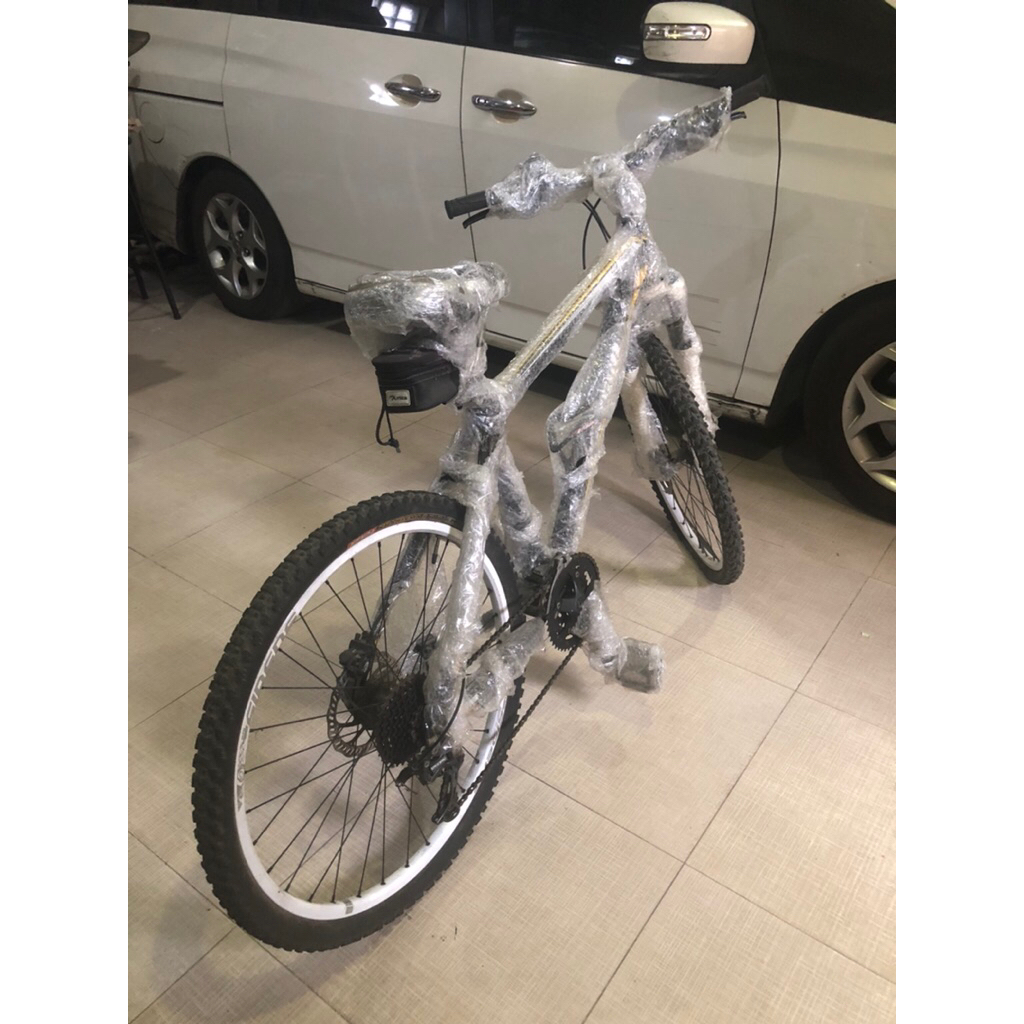 Sepeda MTB Polygon Cozmic CX 1.0