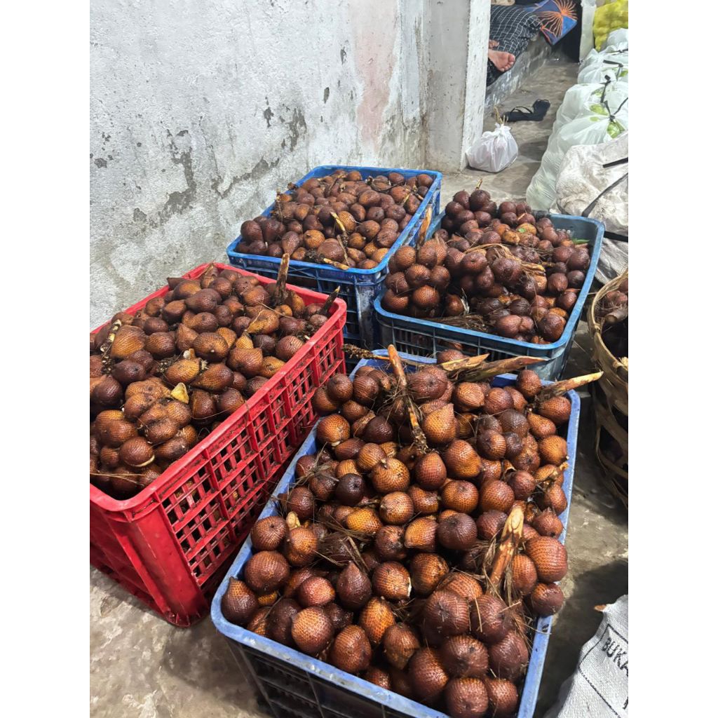 buah salak asem manis asli bali