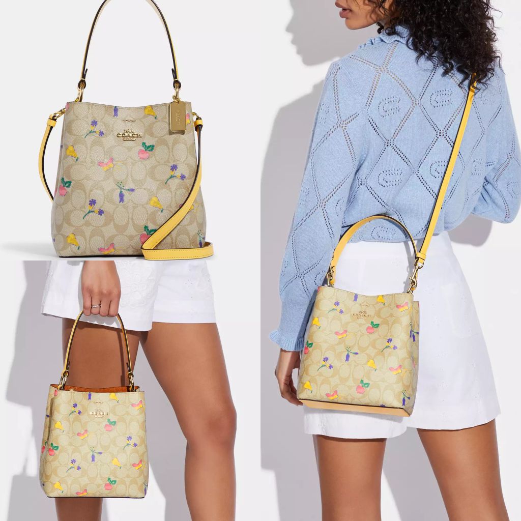 C0Aach C8254 Town Bucket Small Bag Signature Canvas