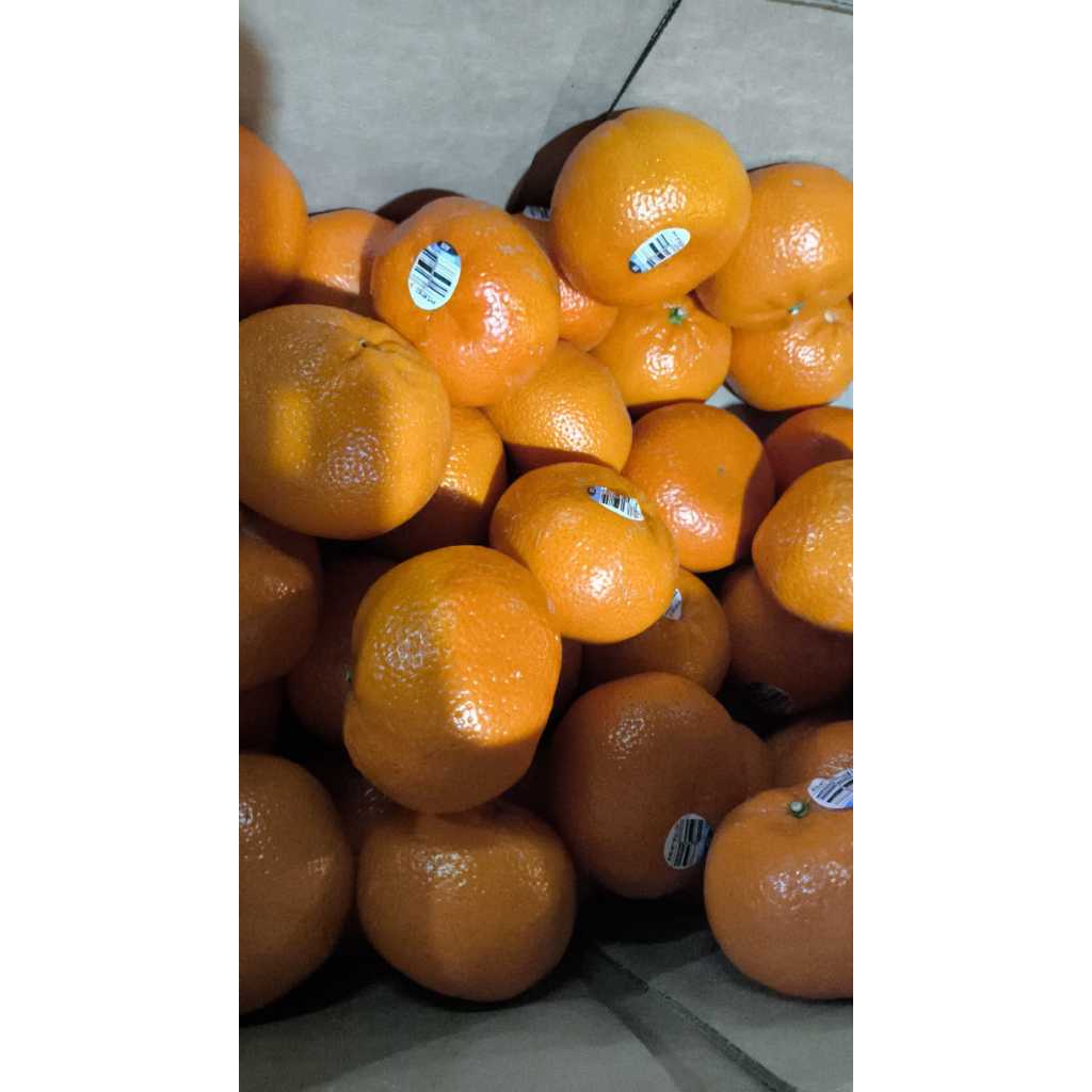 Jeruk Mandarin Afourer Buah Segar Bandung