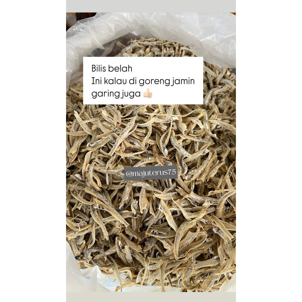 Ikan Teri Belah Tanjung Pinang