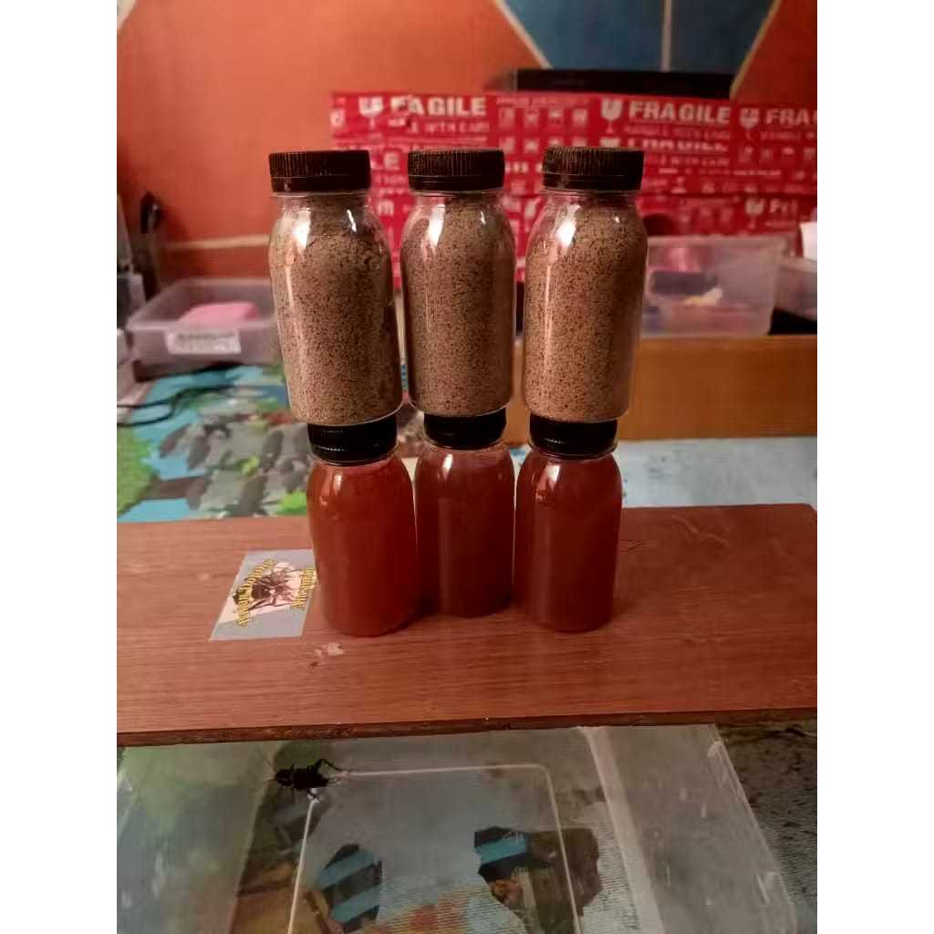 Sadex aduan jangkrik 1 paket/doping jangkrik/sadek jangkrik/sadex/jangkrik