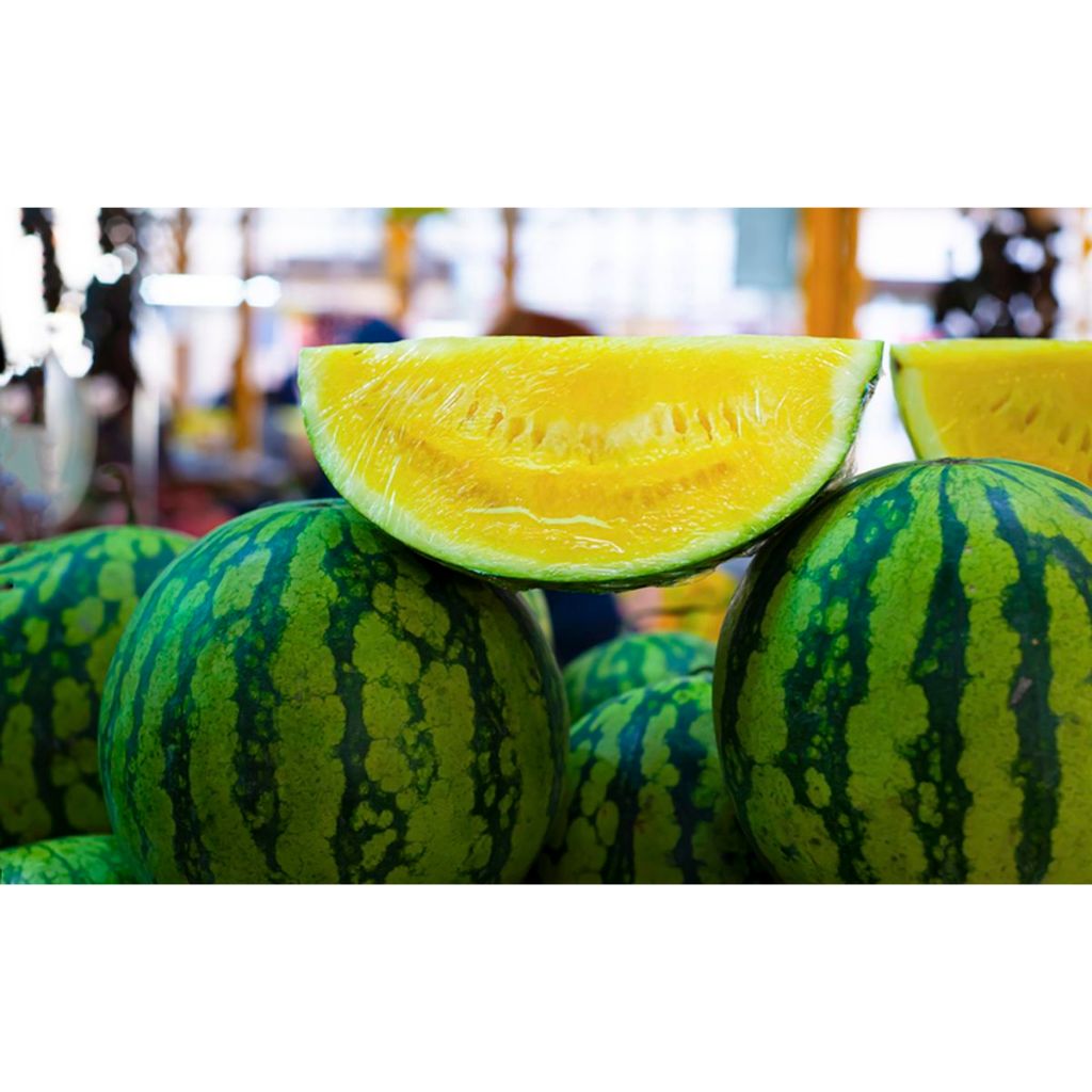 PREMIUM - Bibit Semangka Non Biji