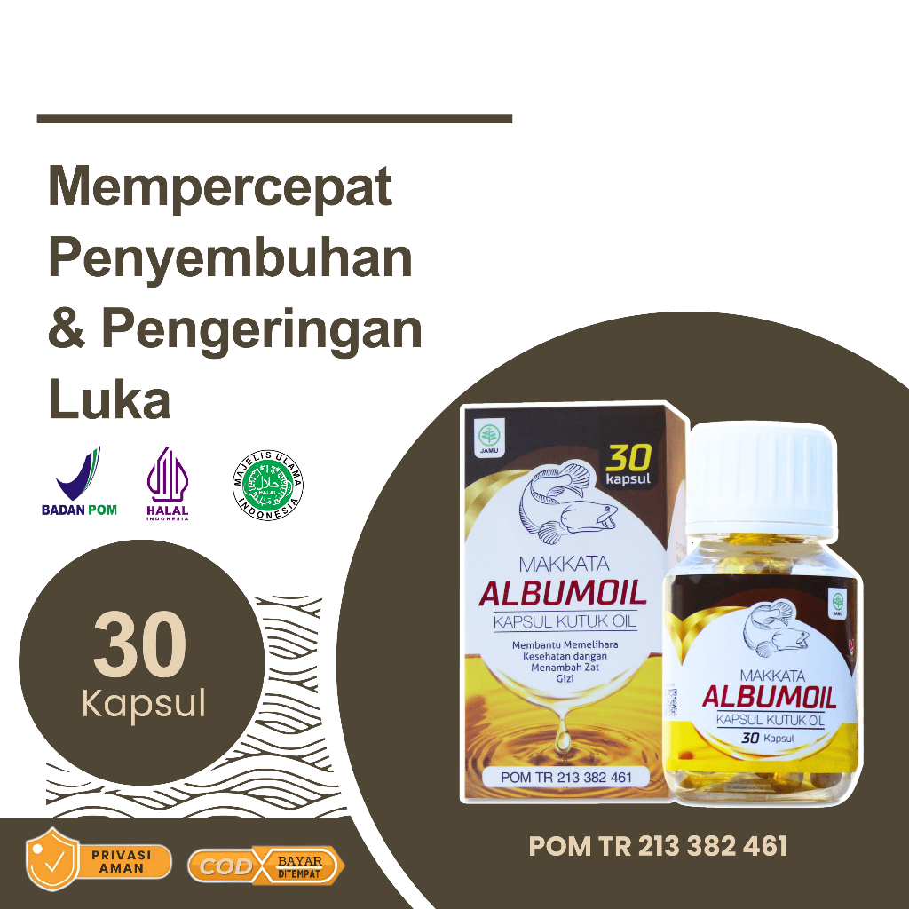KAPSUL KUTUK PENGERING LUKA ALBUMOIL Kapsul Minyak Ikan Gabus Obat Pengering Luka Jahit Melahirkan