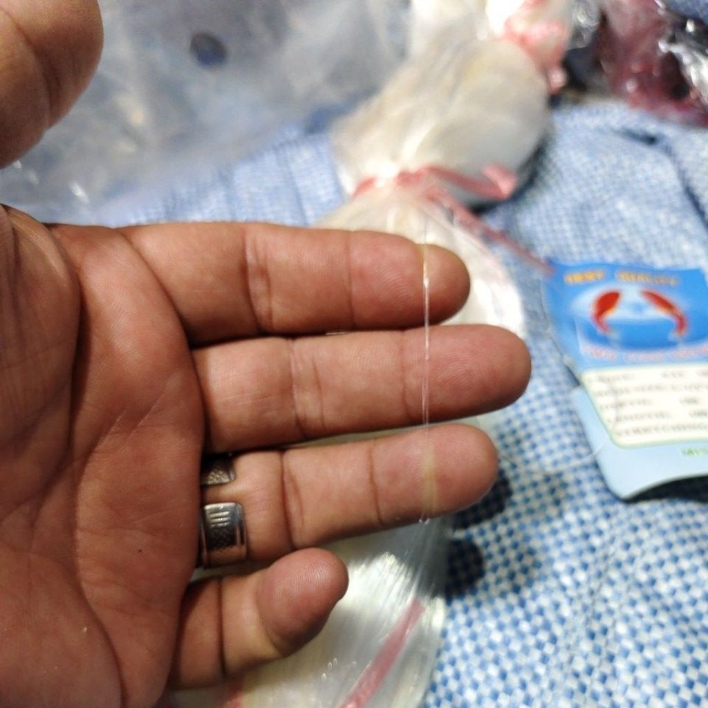 012 Jaring ikan 2½" tinggi 6 meter panjang 100 yds