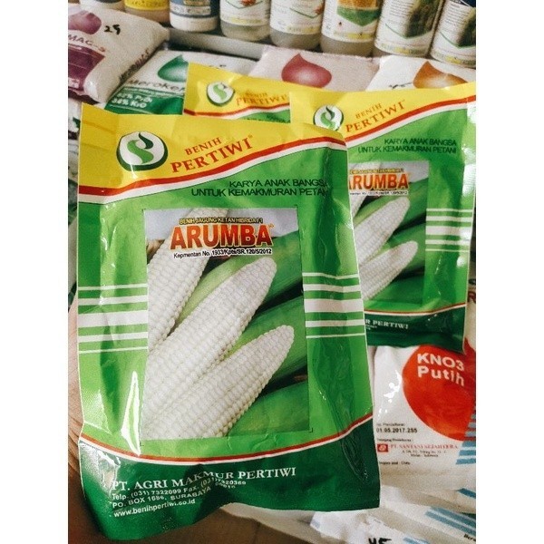 PROMO HEMAT Benih / bibit jagung putih pulut manis ARUMBA jagung arumba 250 gr dari benih pertiwi ja