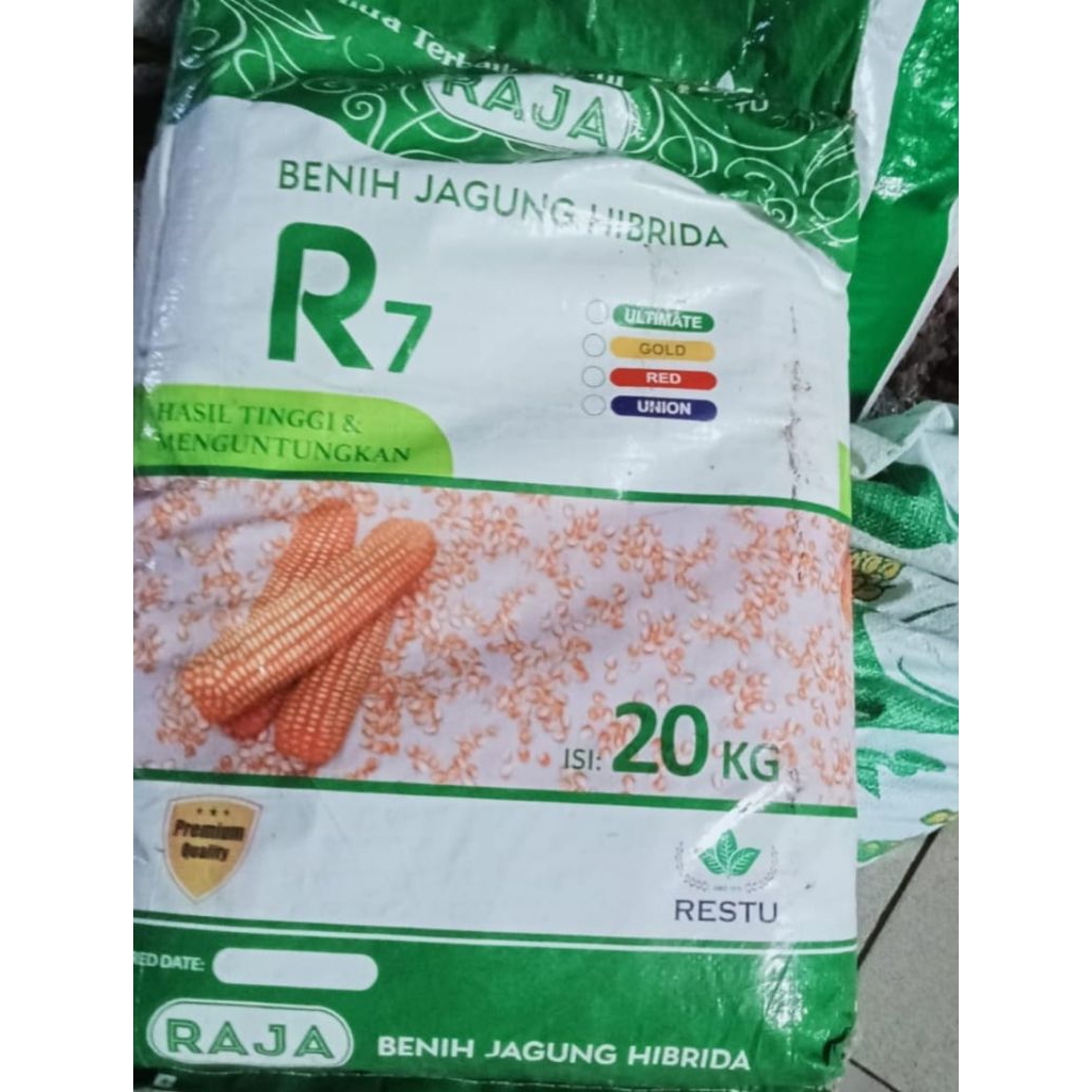 jagung hibrida R7 kemasan1kg