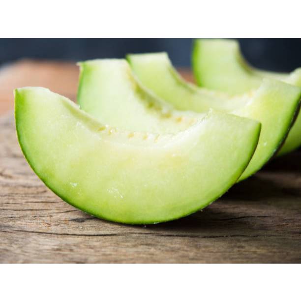 PREMIUM - Bibit Melon Madu Hijau
