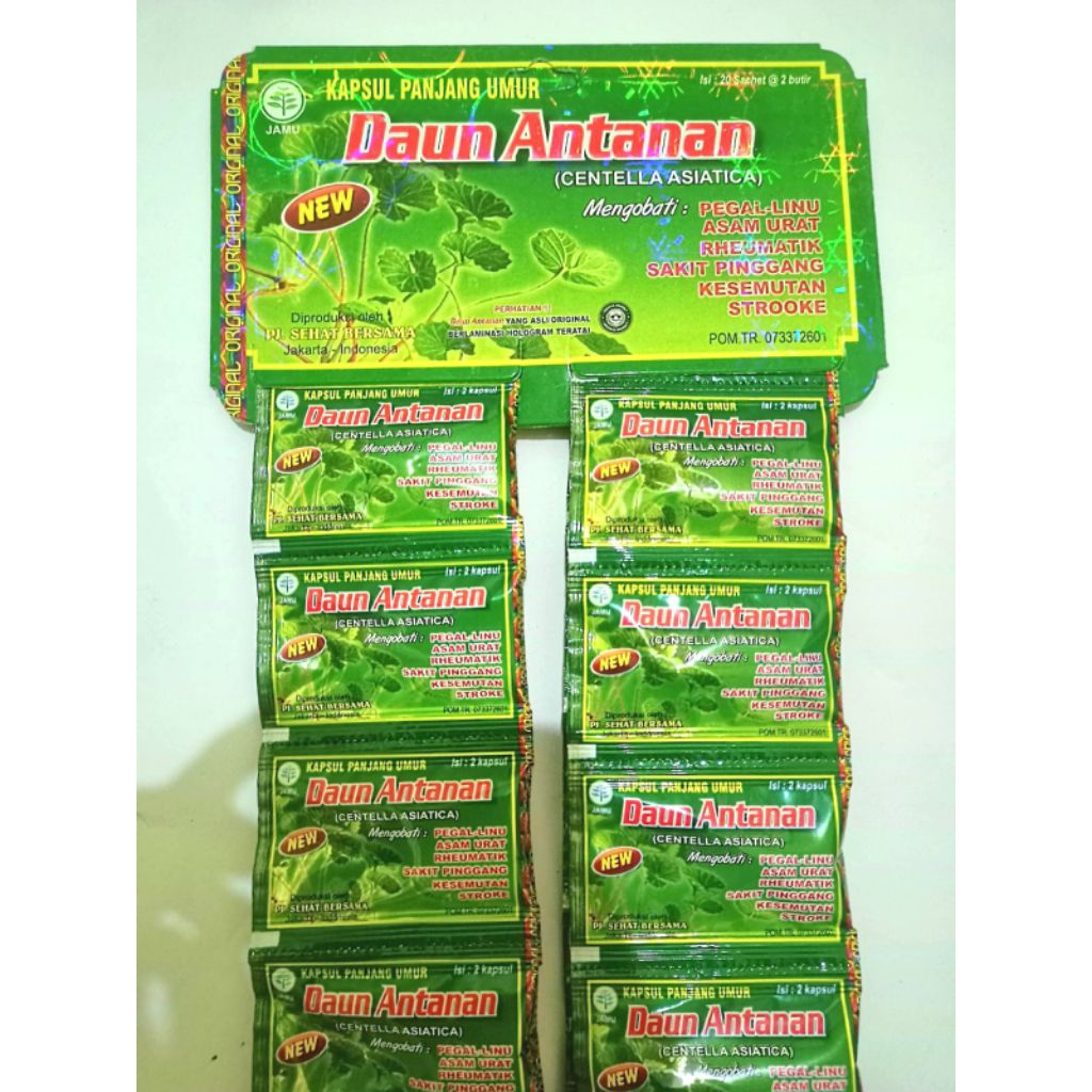 Daun Antanan Kapsul Panjang Umur