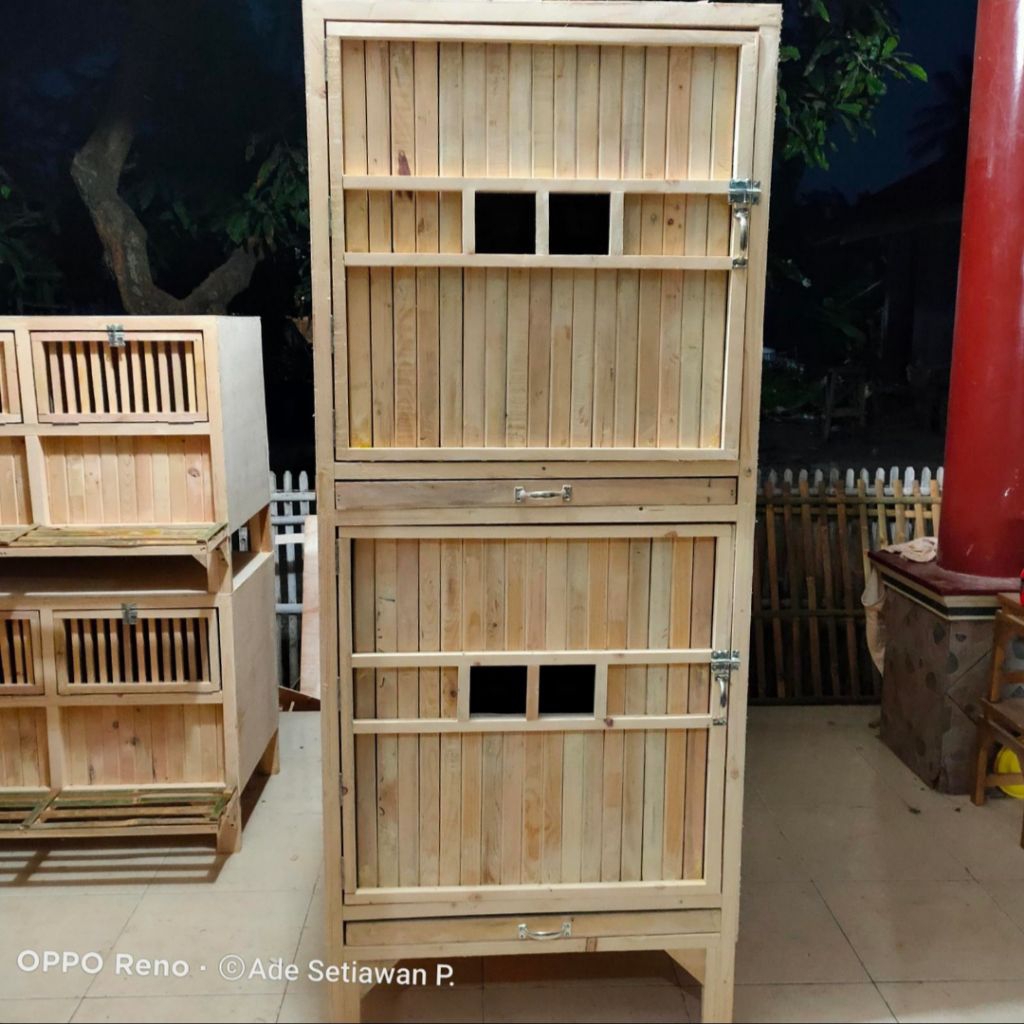 kandang ayam bangkok 2 pintu
