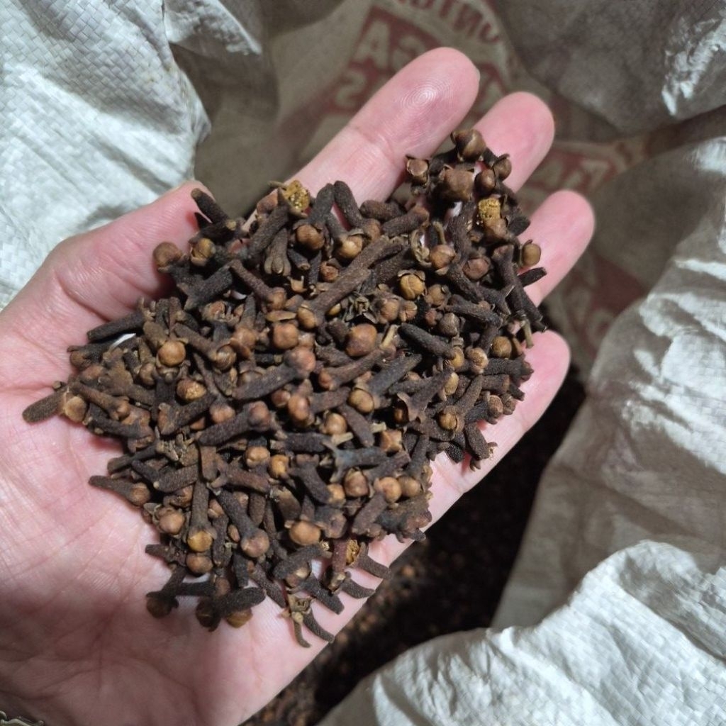 CENGKEH KERING SUPER GRADE A 100% ALAMI MURNI asli dari petani