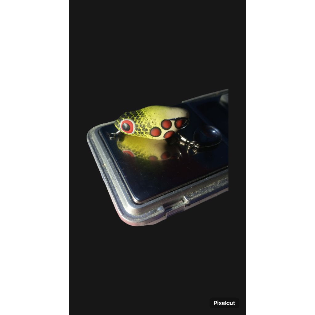 Soft frog kiler umpan casting ikan gabus