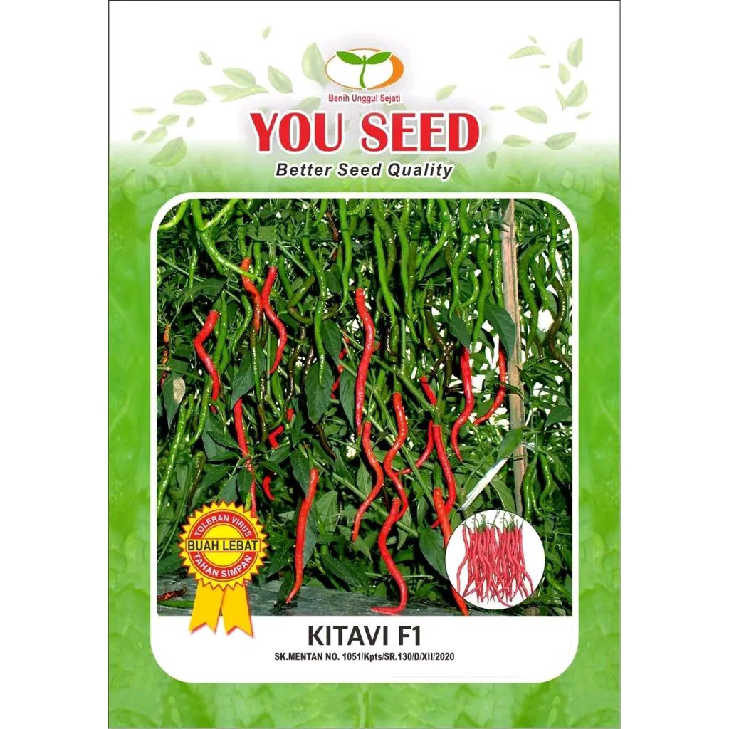 Benih Cabai Keriting KITAVI F1