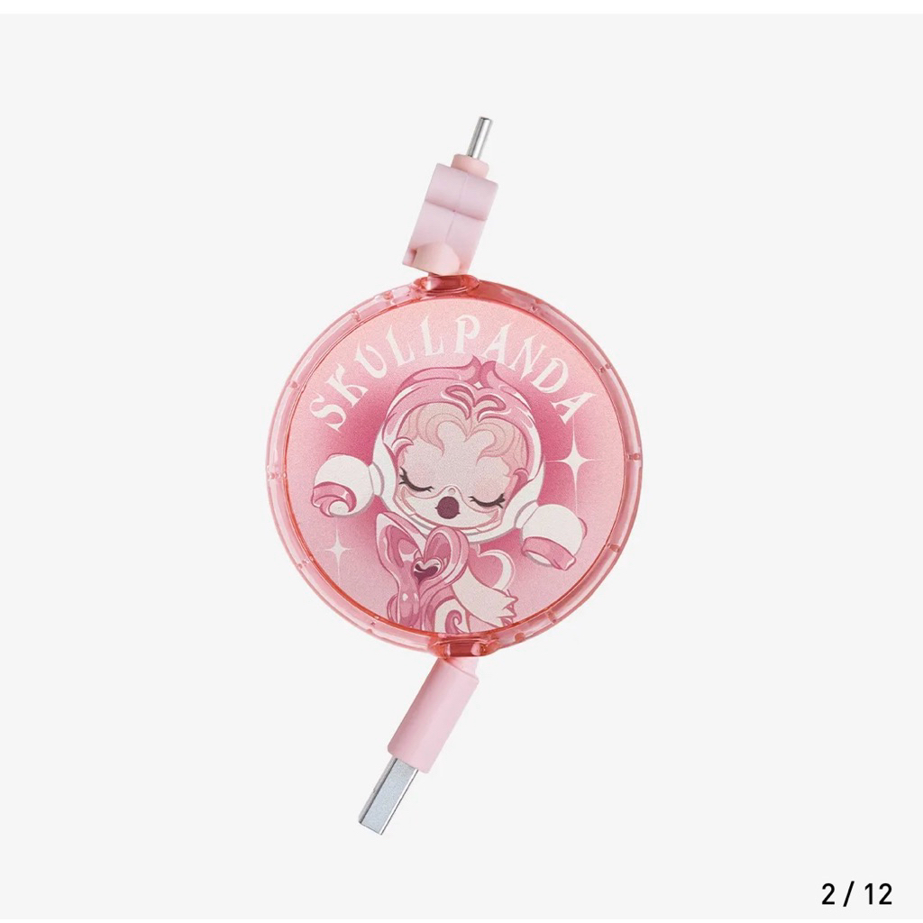 Popmart Skullpanda The Sound Cable Type C The Trust