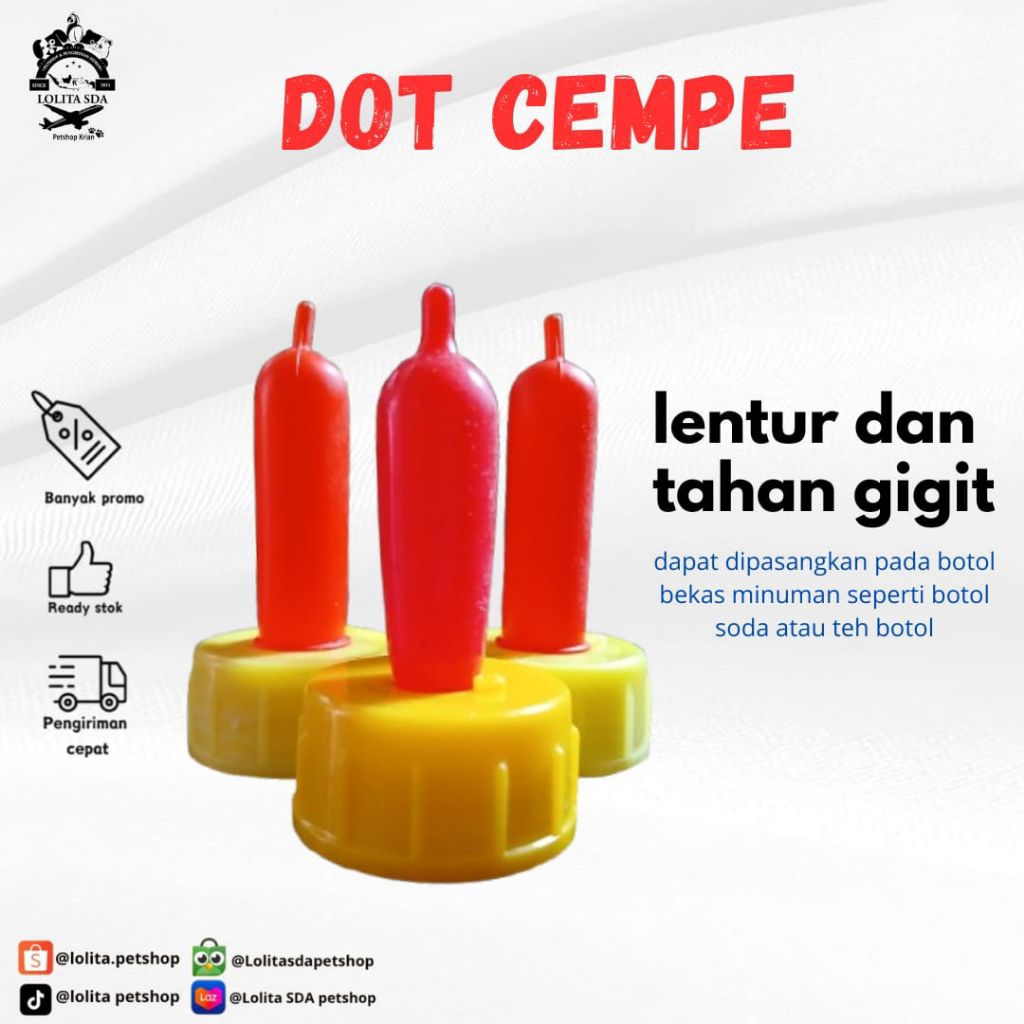 dot mini dot cempe anak kambing domba anjing