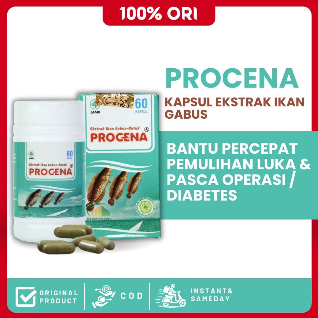 PROCENA Original Kapsul Ikan Gabus Ekstrak Albumin Obat Luka Operasi Cepat Kering 60 Kapsul BPOM