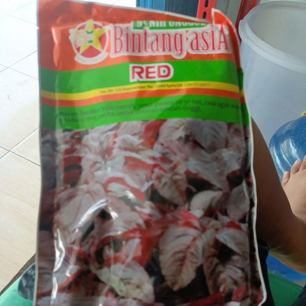 BENIH BAYAM  ,RED