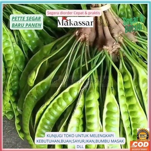 Pete Segar Baru Panen – Asli Makassar  Petai Segar Fresh dari Kebun  Pete / Petai Super Fresh – Siap