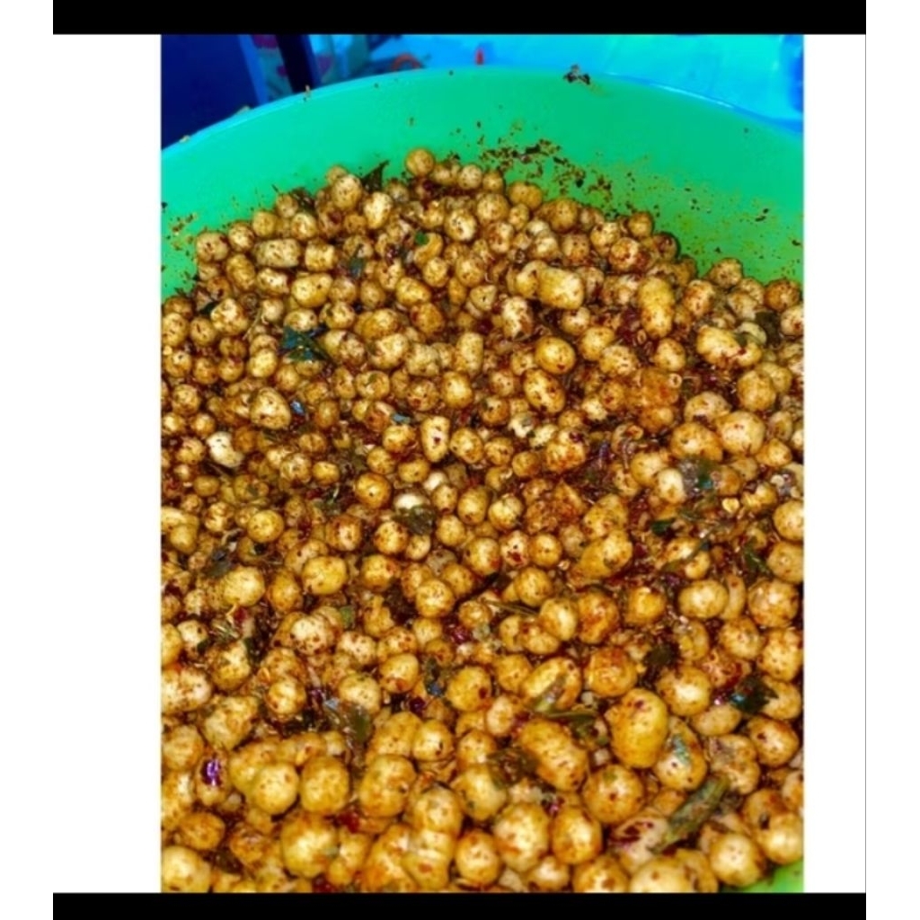 sukro cikur asli garut