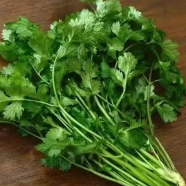 daun ketumbar fresh 500 gram