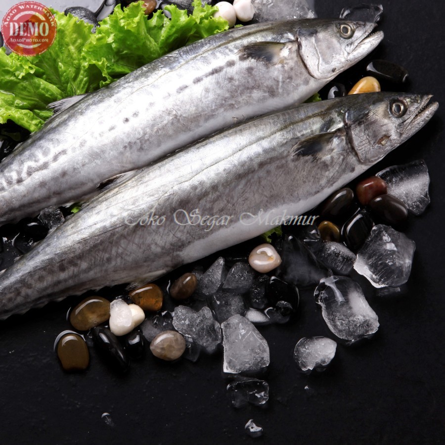 Ikan Tenggiri 1Kg / Ikan Tenggiri Segar / Ikan Tenggiri Betina / Ikan Tenggiri Gepeng / Ikan Tengiri