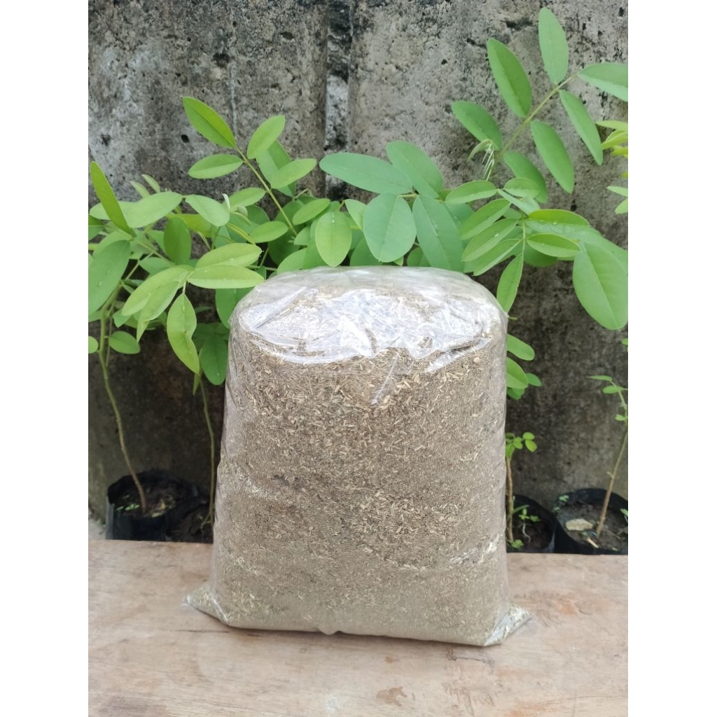 tepung Indigofera halus (500) gram