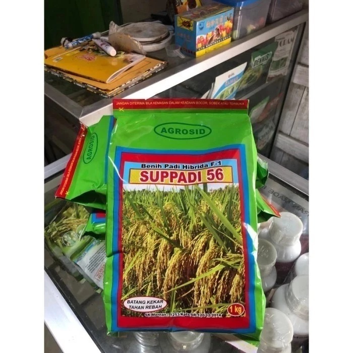 SUPPADI 56 Benih Padi Hybrida 1 Kg - Bibit Padi Hibrida 1kg SUPADI 56 Produk AGROSID