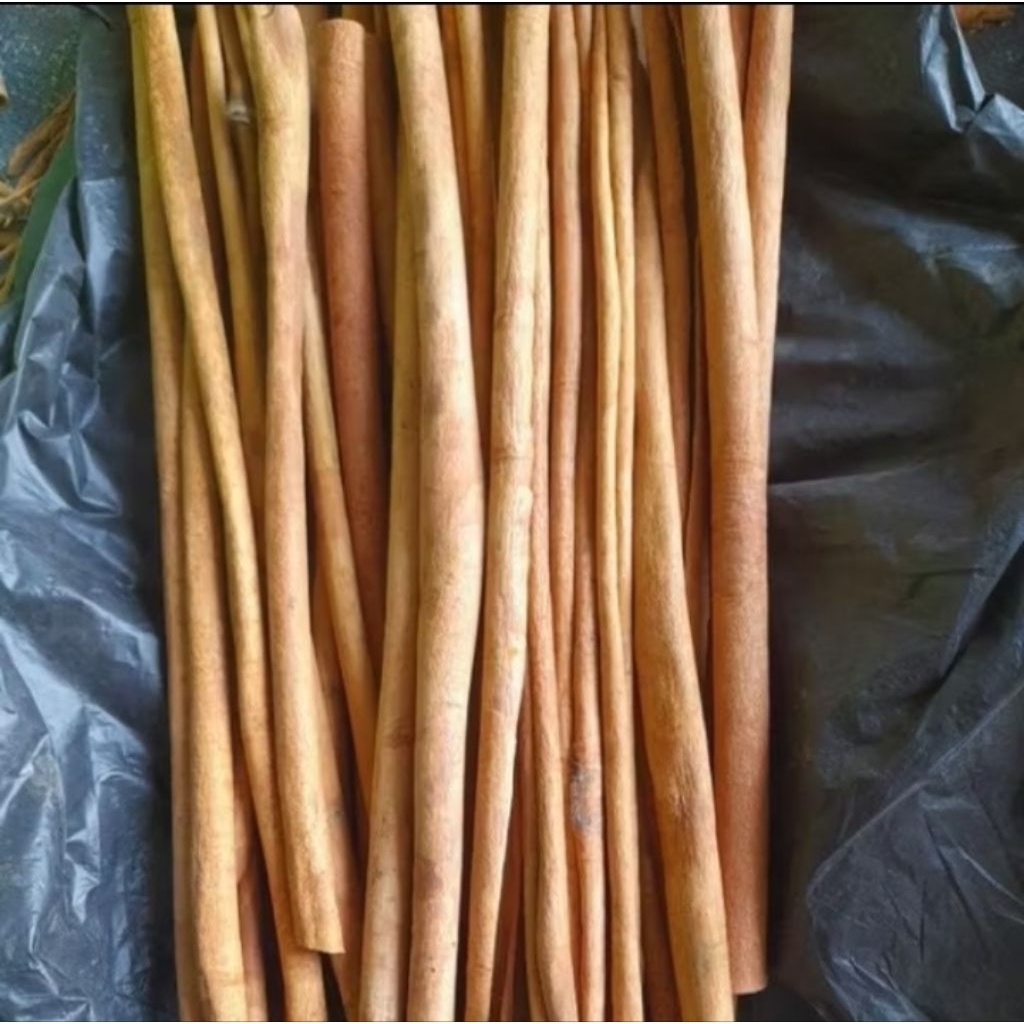 kulit kayu manis asli kerinci