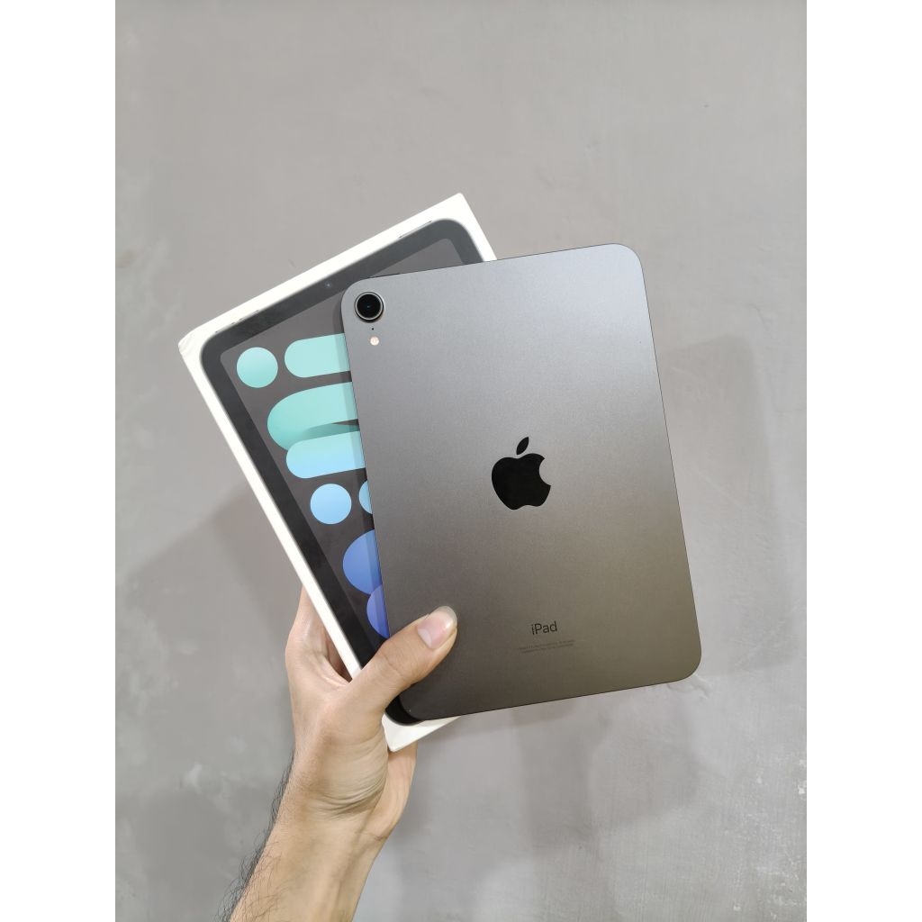 iPad Mini 6 256Gb Wifi Only Inter