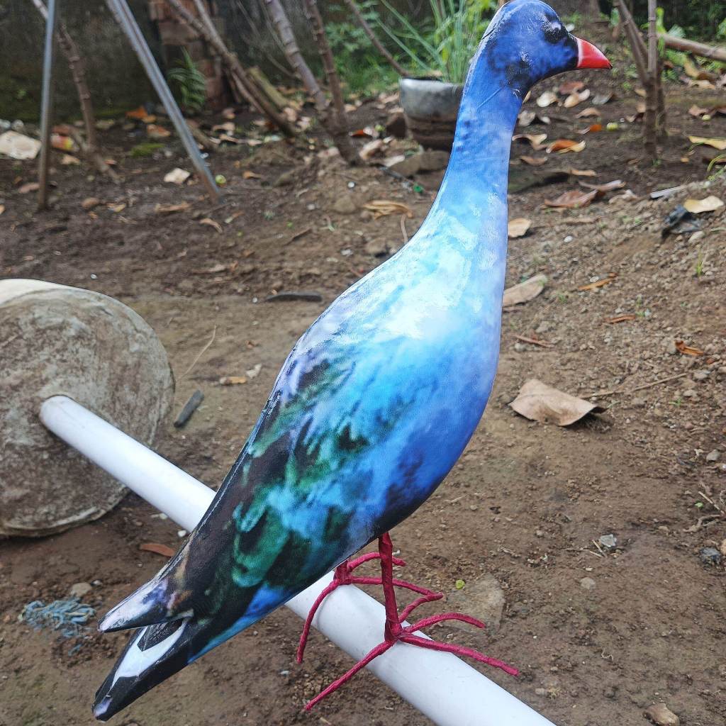 Jontrot Mandar Biru / Patung Pikat Burung Mandar Biru