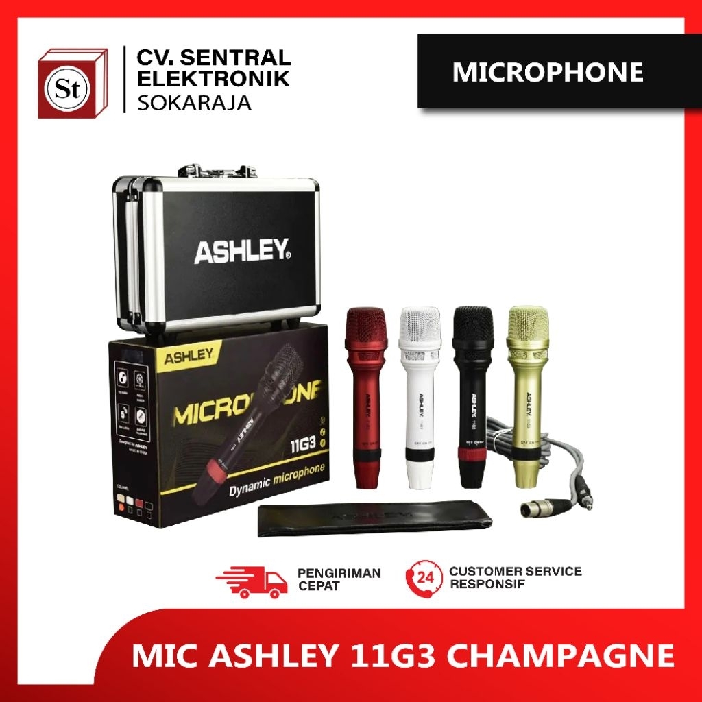 MIC ASHLEY 11G3
