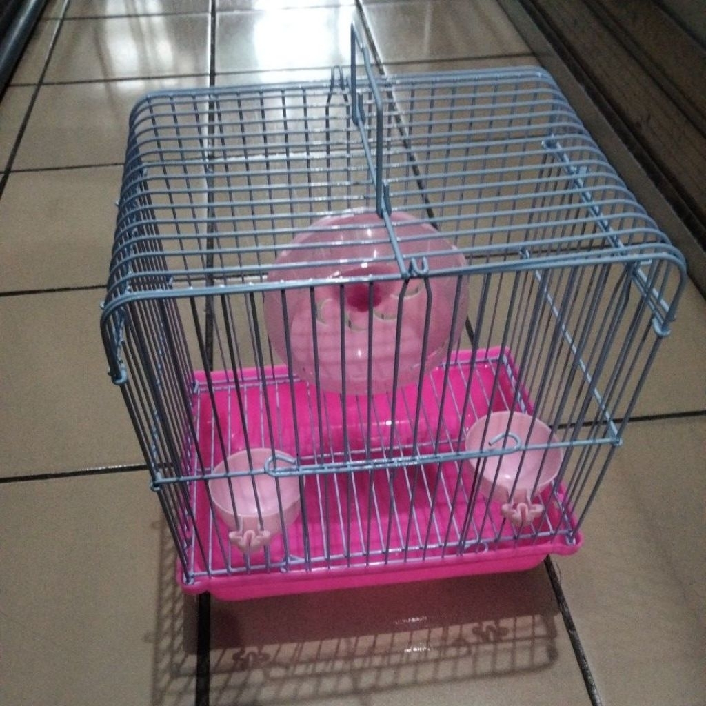 kandang hamster kecil