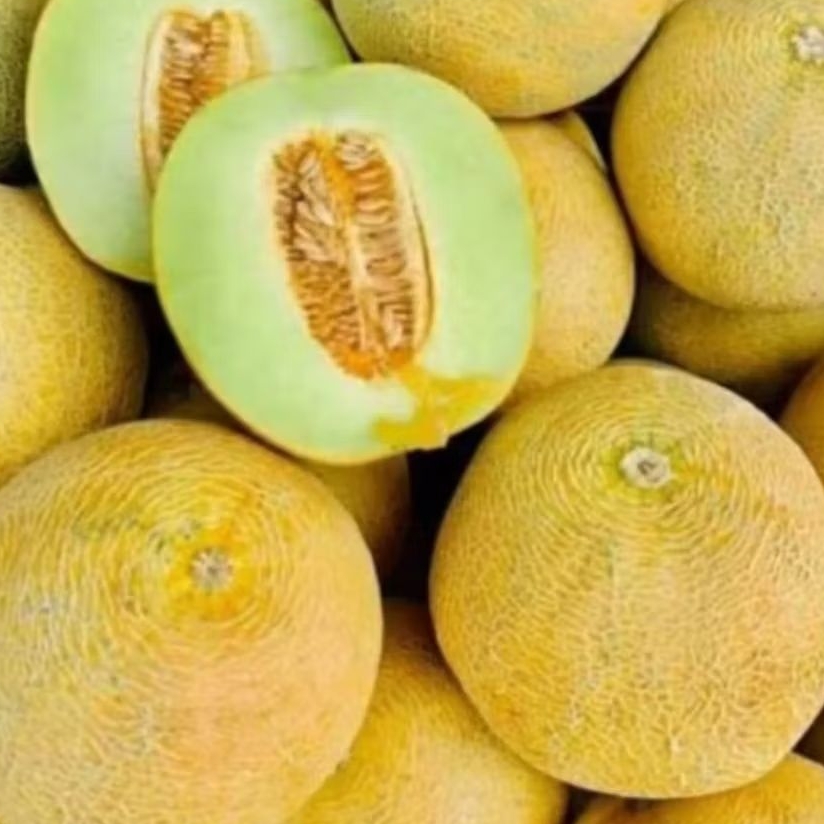 MELON MADU
