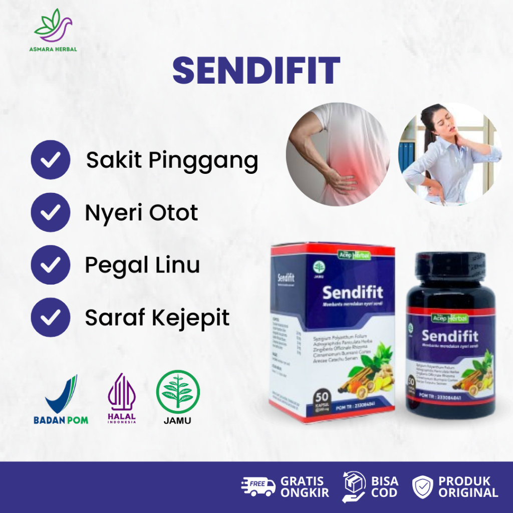 Sendifit Atasi Sakit Pinggang Nyeri Otot Pegal Linu Encok Saraf Kejepit Nyeri Bokong