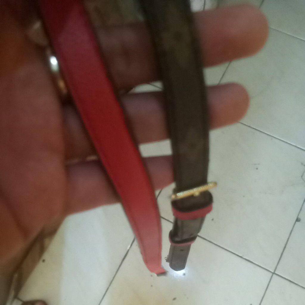 tali tas LV second original