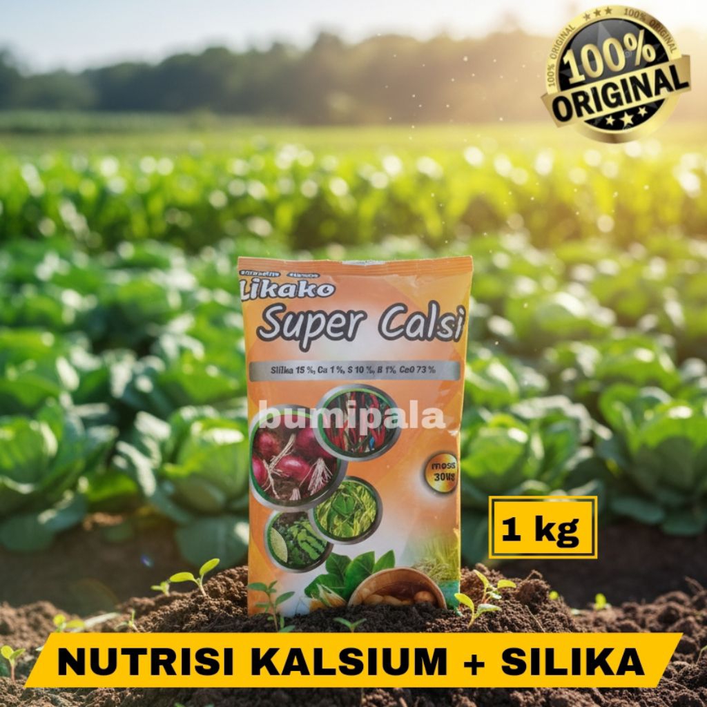 Pupuk kalsium + silika 1 kg
